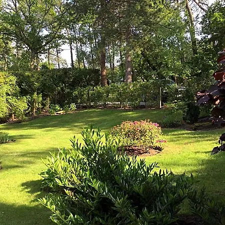 D'hotes Graine De Pin 4* Le Touquet