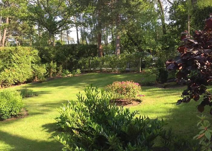 D'hôtes Graine De Pin